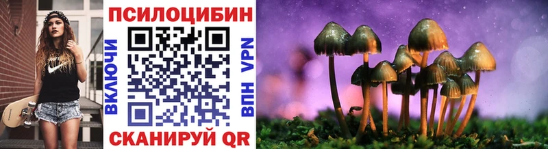 Галлюциногенные грибы Magic Shrooms  где купить наркоту  Карабаш 